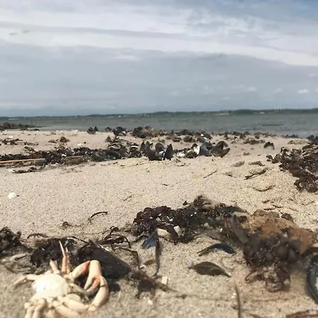 빌라 Strandgarden Pa Skaro Med Faerge Fra Svendborg Ballen (Svendborg)