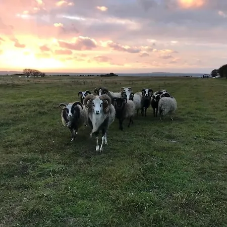 Strandgarden Pa Skaro Med Faerge Fra Svendborg Villa