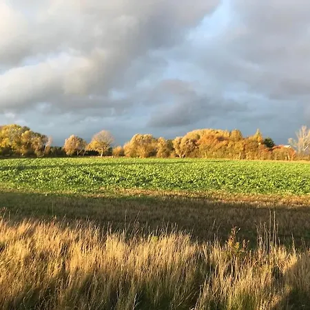 빌라 Strandgarden Pa Skaro Med Faerge Fra Svendborg