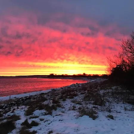 Strandgarden Pa Skaro Med Faerge Fra Svendborg