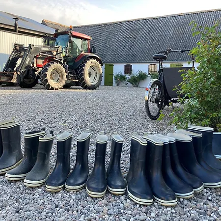 Strandgården På Skarø Med Færge Fra Svendborg Ballen (Svendborg)